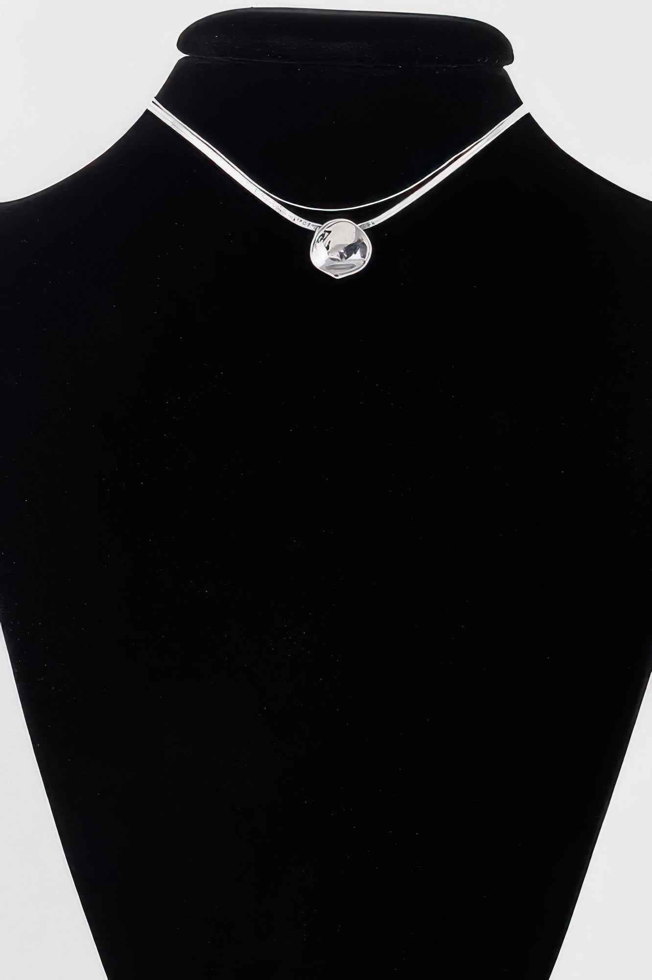 Reflection Plate Snake Chain Necklace