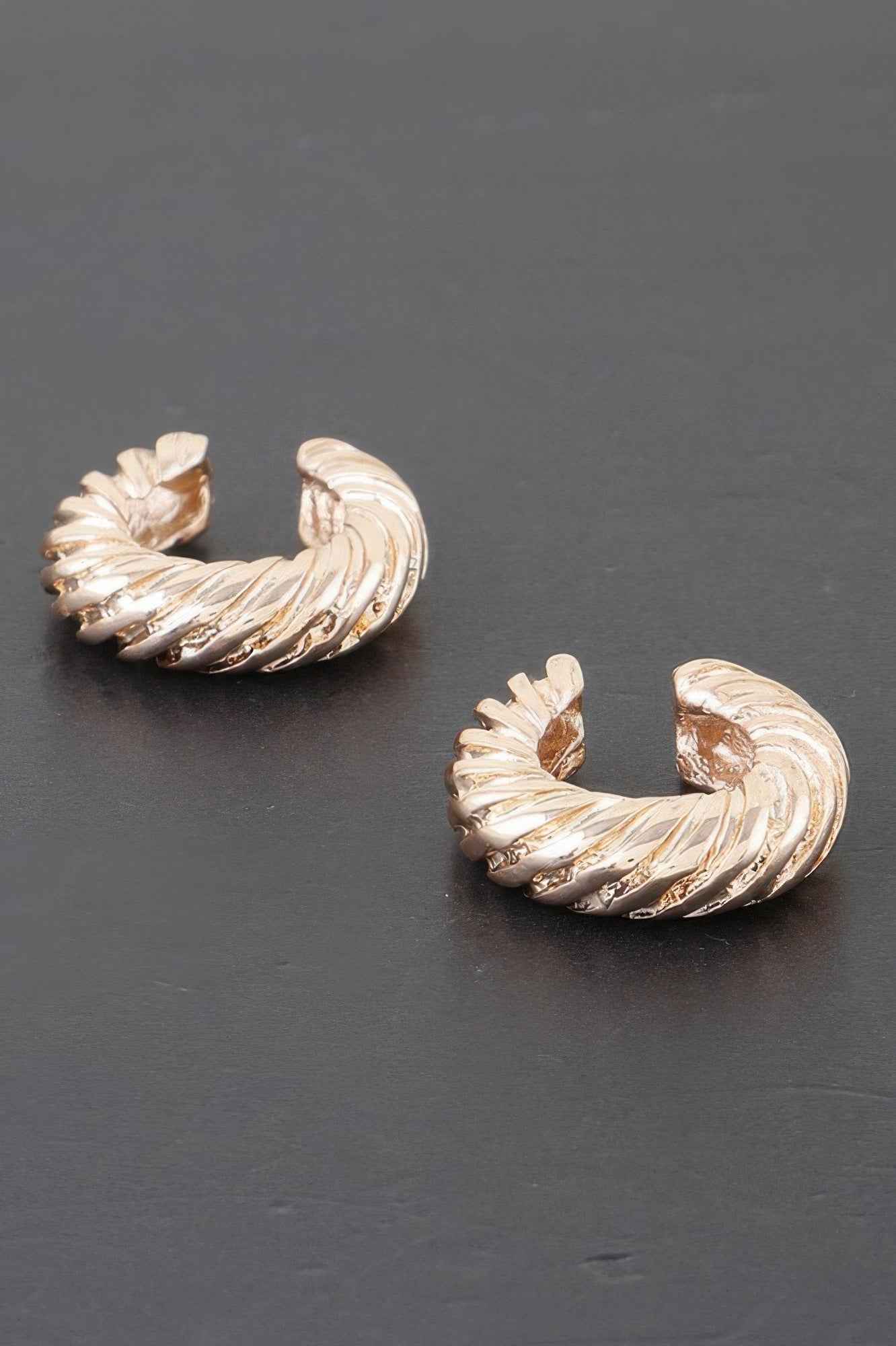 Twisted Rope Hoop Earrings