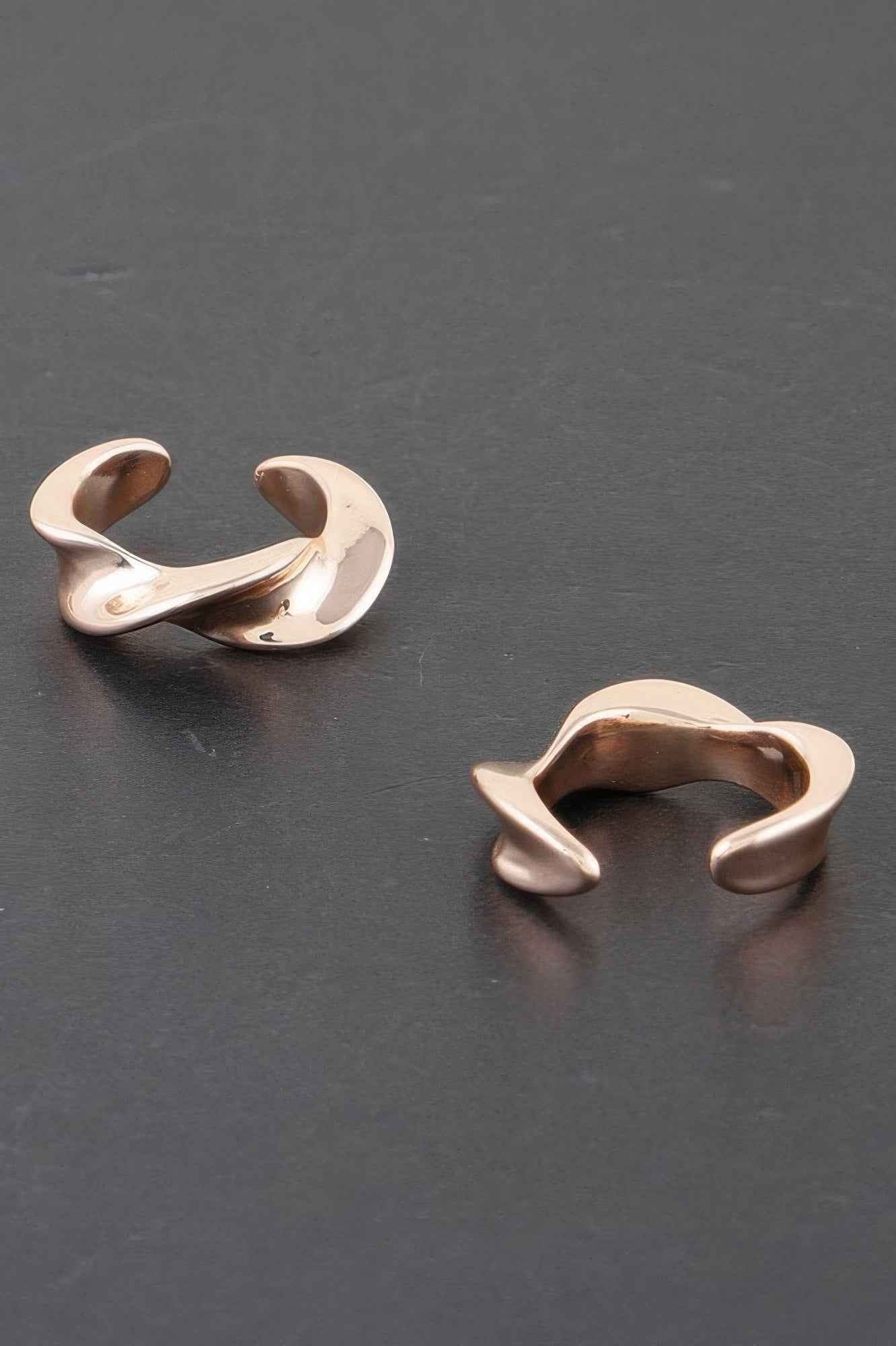 Twist Of Elegance Plated Earrings