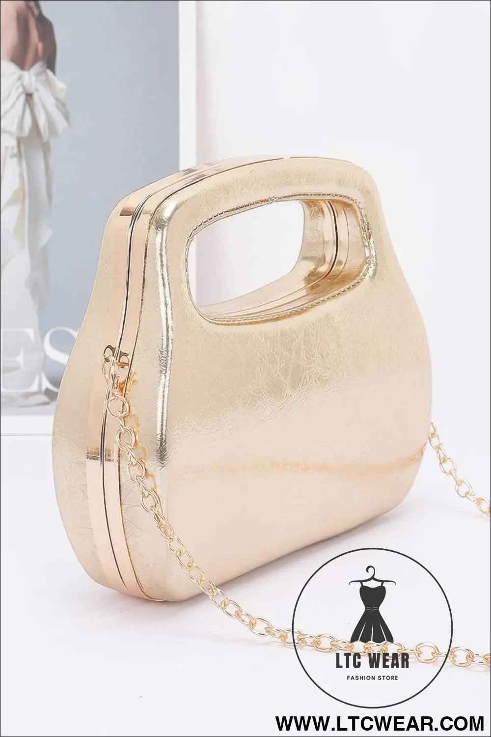 Metallic Case Bag